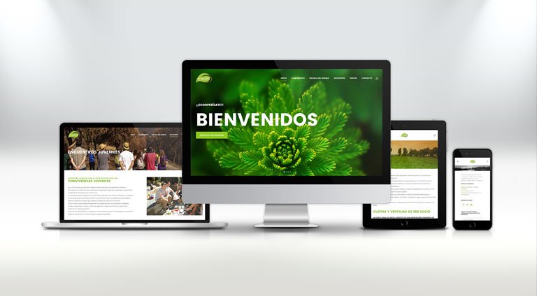 UX UI senior Valladolid diseñador designer portfolio